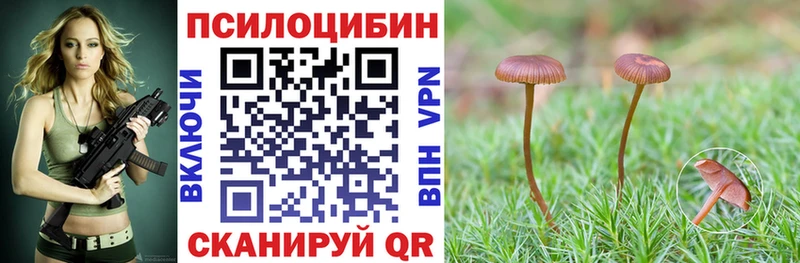 Галлюциногенные грибы Magic Shrooms  Кинешма 