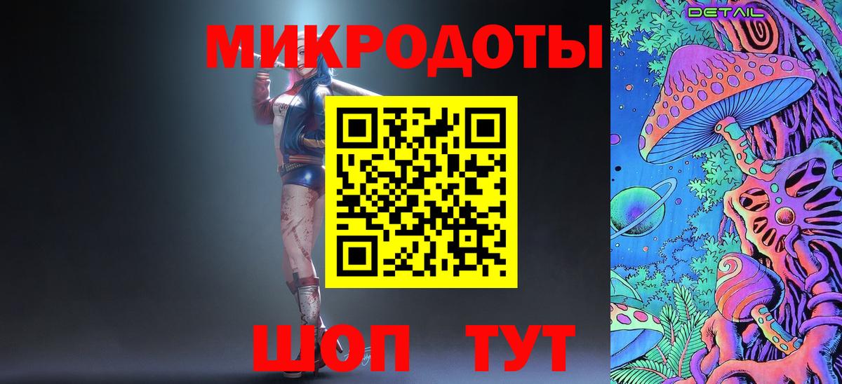 Псилоцибиновые грибы Psilocybe Кинешма